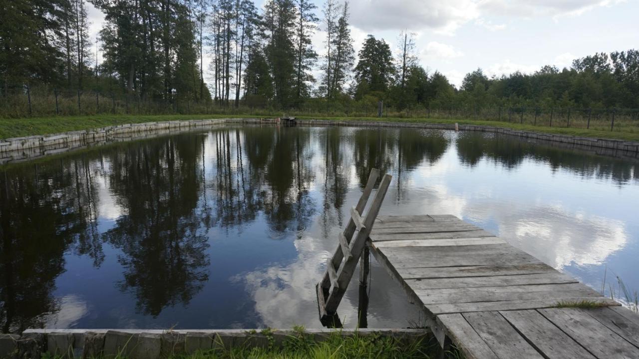 Вілла Agroturystyka Ostrowie Домброва-Білостоцька Екстер'єр фото