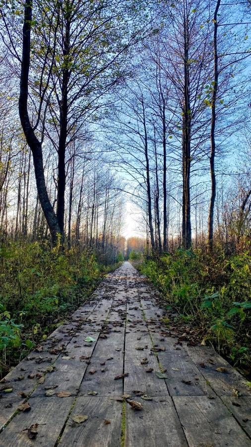 Вілла Agroturystyka Ostrowie Домброва-Білостоцька Екстер'єр фото